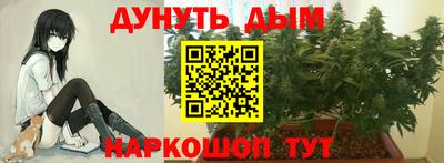 бошки Тавда