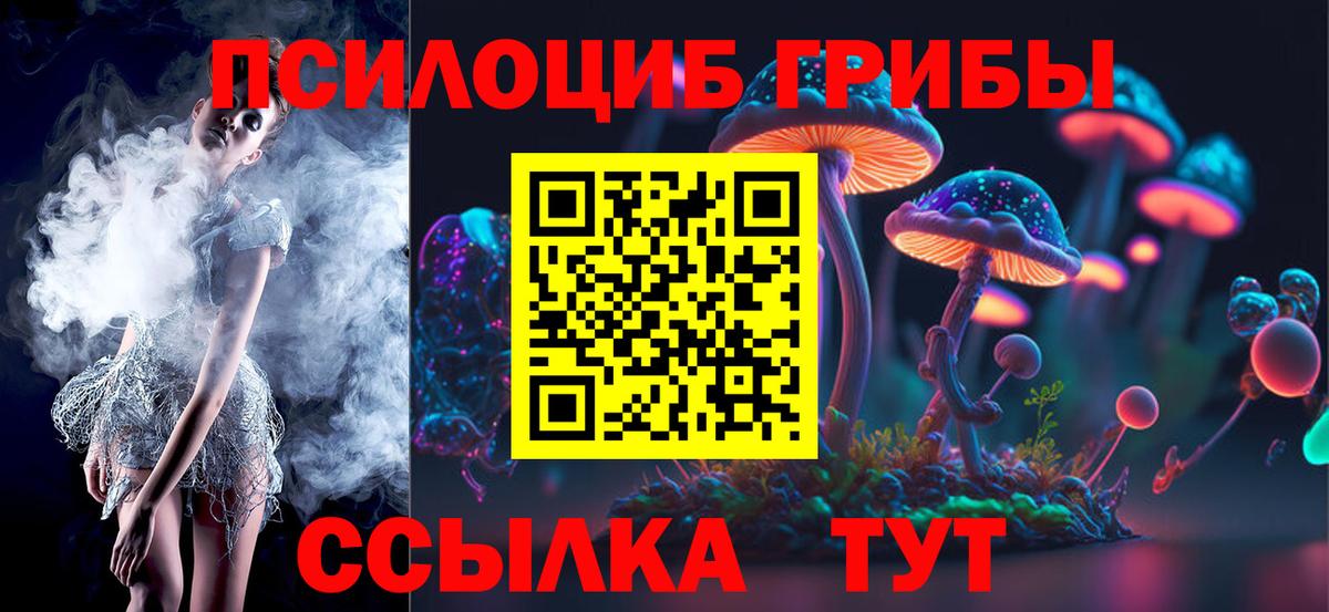Выкса  Псилоцибиновые грибы GOLDEN TEACHER  Вход с VPN 